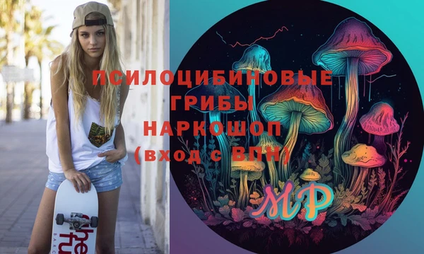 твердый Алексеевка