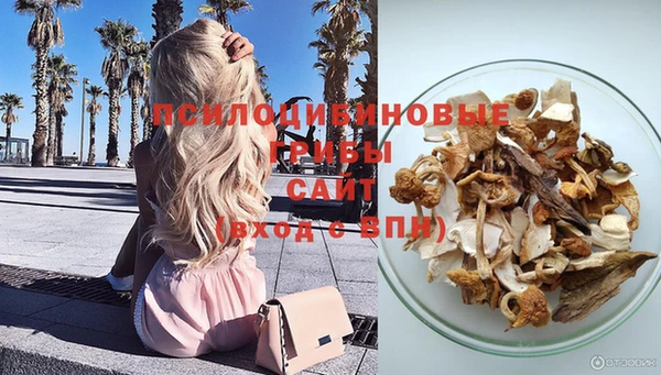твердый Алексеевка