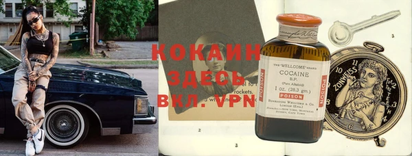 прущие крисы Алзамай