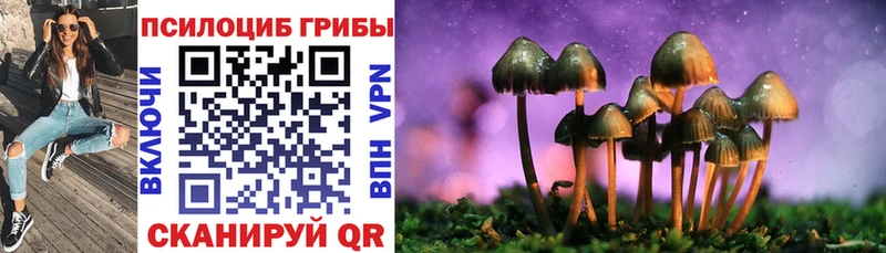 гидра зеркало  Трёхгорный  Псилоцибиновые грибы Psilocybe 